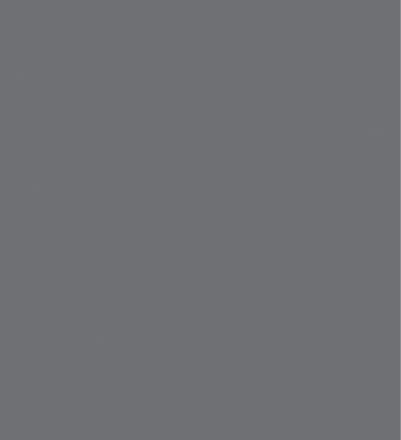 Зеркало Дымчатое